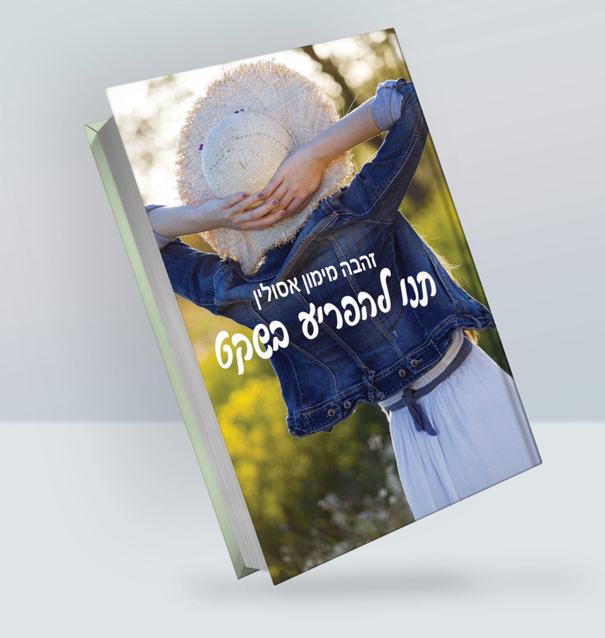 הספר תנו להפריע בשקט